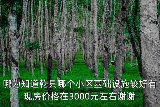乾縣哪個小區(qū)房價好，乾縣明德城和盛唐大觀園那個好盛唐房價比明德城高