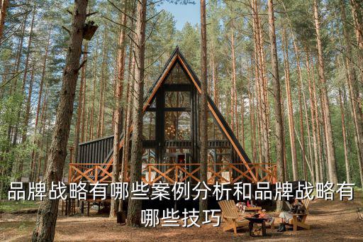 品牌戰(zhàn)略有哪些案例分析和品牌戰(zhàn)略有哪些技巧