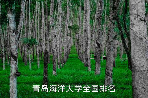 青島海洋大學(xué)全國(guó)排名