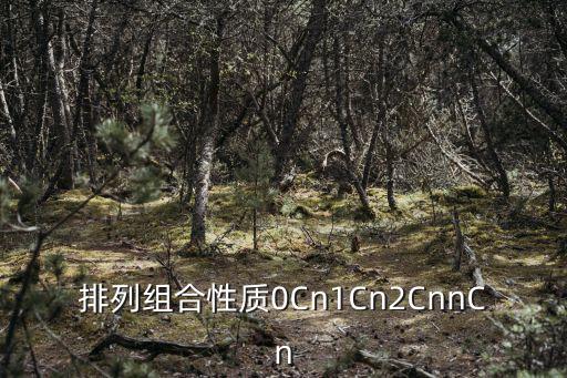 排列組合性質(zhì)0Cn1Cn2CnnCn