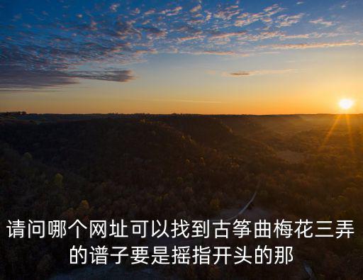 請問哪個網址可以找到古箏曲梅花三弄的譜子要是搖指開頭的那