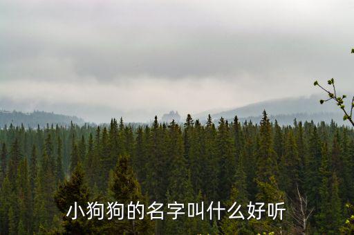 小狗狗的名字叫什么好聽