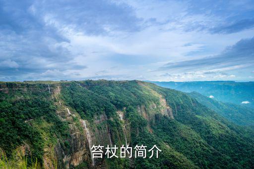 笞杖的簡介