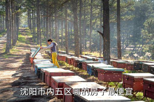 沈陽市內(nèi)五區(qū)哪的房子最便宜