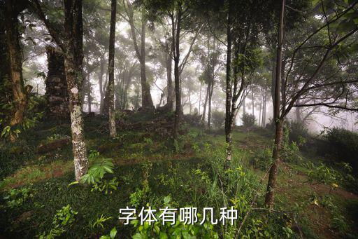 字體有哪幾種