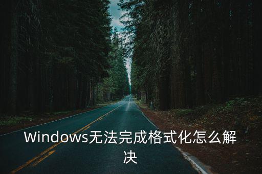 無法完成格式化,系統無法格式化怎么辦?