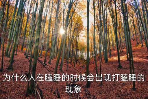 為什么人在瞌睡的時(shí)候會(huì)出現(xiàn)打瞌睡的現(xiàn)象