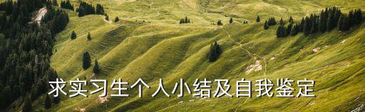 求實習(xí)生個人小結(jié)及自我鑒定