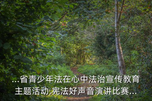 ...省青少年法在心中法治宣傳教育主題活動,憲法好聲音演講比賽...