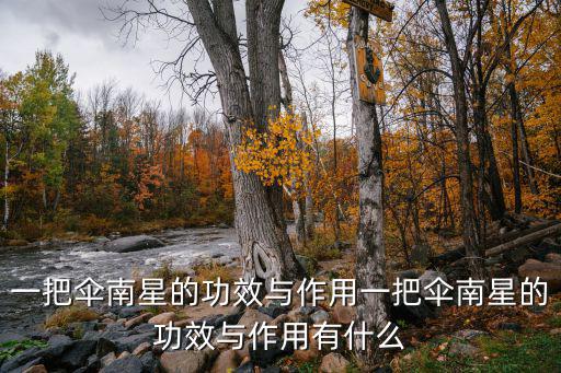 南星的功效與作用,天南星的功效與作用