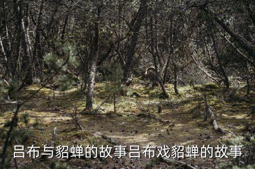 貂蟬的故事,王允說服呂布鏟除呂布戲貂蟬故事