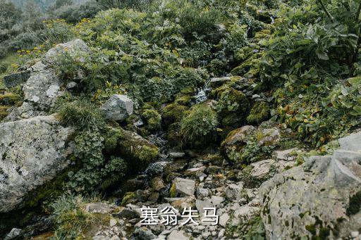 塞翁失馬造句,塞翁失馬，焉知非福這個成語從何說起?