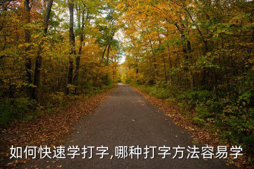 如何快速學打字,哪種打字方法容易學
