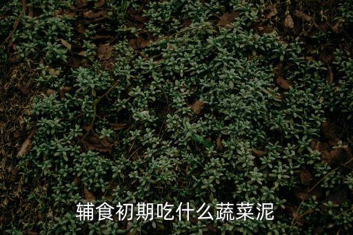 四味菜,第一口菜泥應(yīng)選擇胡蘿卜或土豆