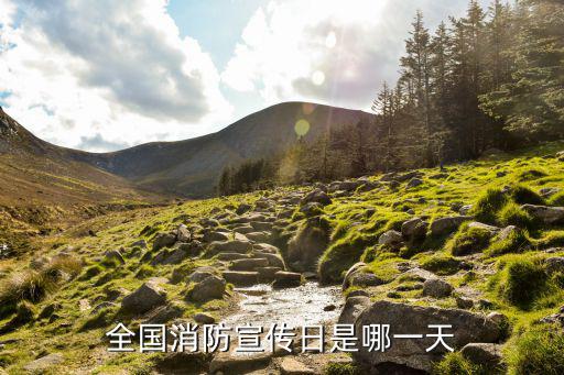 消防日的由來,每年11月9日定為我國消防宣傳日