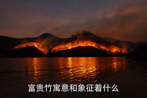 富貴竹寓意和象征著什么