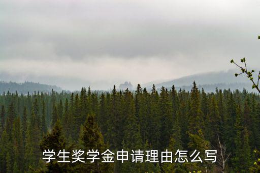 學生獎學金申請理由怎么寫