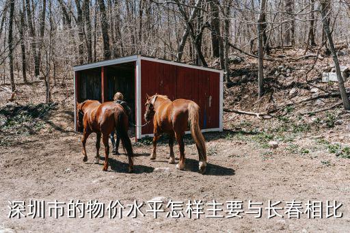深圳市的物價水平怎樣主要與長春相比