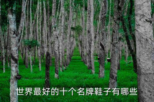 名牌高跟鞋有哪些牌子,紅底高跟鞋你知道多少?