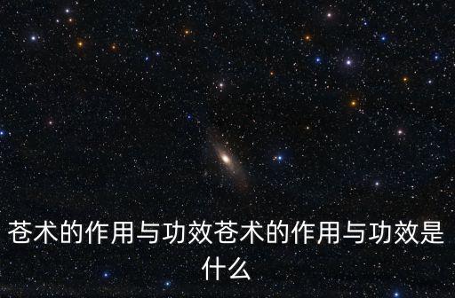 蒼術(shù)的作用與功效蒼術(shù)的作用與功效是什么