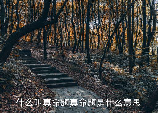 什么叫真命題真命題是什么意思