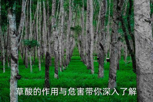 草酸的作用,工業硫酸鹽有哪些用處?