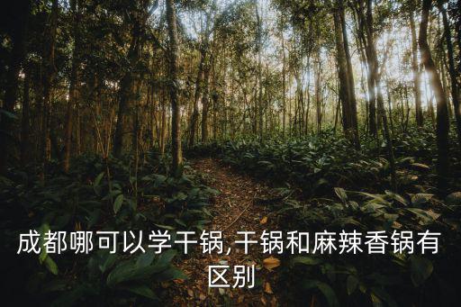 學做干鍋,干鍋菜怎么做好吃去哪里學