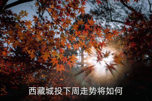 西藏城投下周走勢將如何