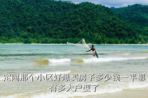定陶那個小區好想買房子多少錢一平都有多大戶型了