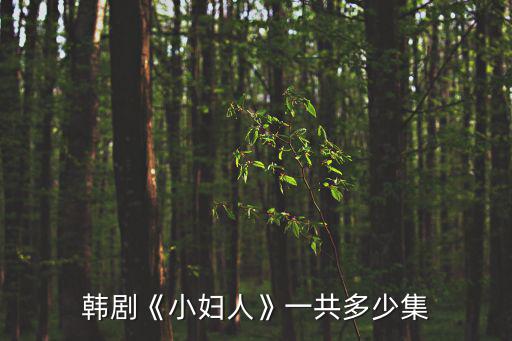韓劇《小婦人》一共多少集