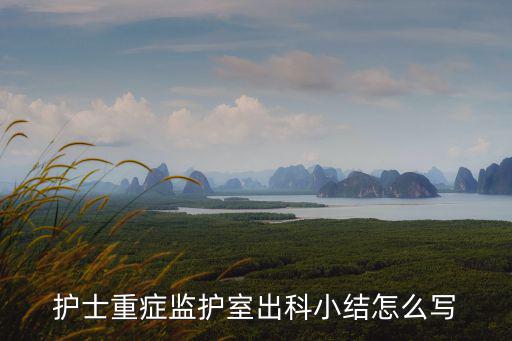 icu出科小結(jié),icu實習小結(jié)···誰給一篇··最后加分