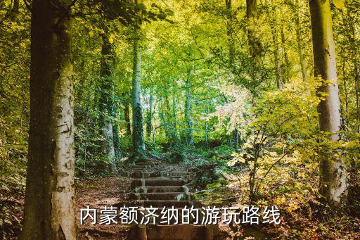 額濟納旅游線路,中國第三大沙漠之一:巴丹吉林沙漠
