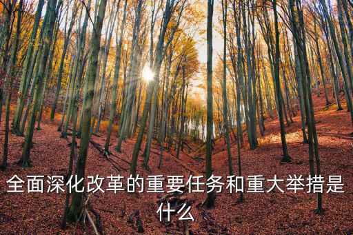 全面深化改革的重要任務和重大舉措是什么