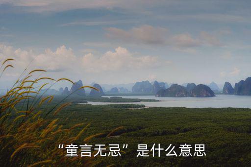“童言無忌”是什么意思