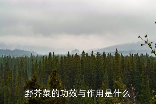 芥菜的作用和功效,芥菜的功效與作用1.保護眼睛2提高免疫力