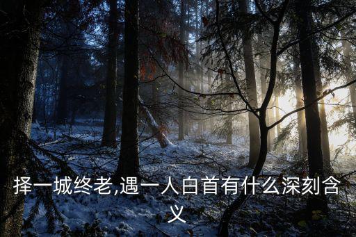擇一城,擇一城終老，遇一人白首?