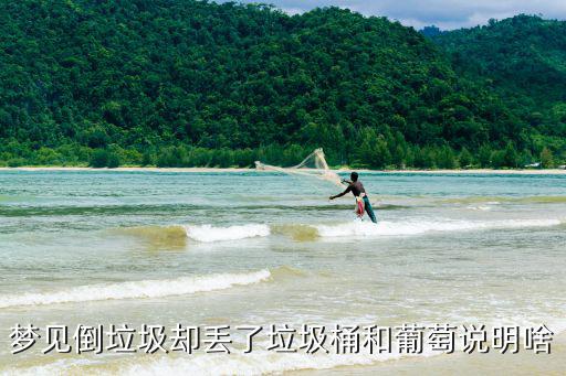 夢見倒垃圾卻丟了垃圾桶和葡萄說明啥
