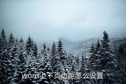 word上下頁邊距怎么設置