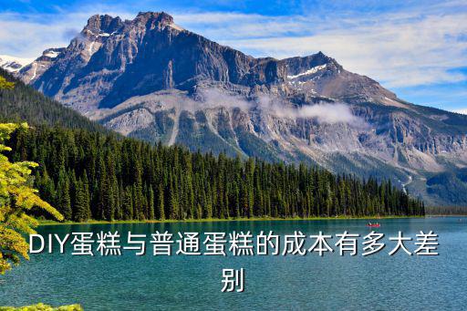 DIY蛋糕與普通蛋糕的成本有多大差別