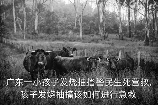 廣東一小孩子發(fā)燒抽搐警民生死營救,孩子發(fā)燒抽搐該如何進(jìn)行急救