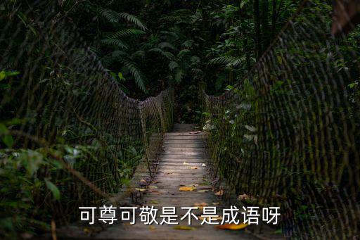 可尊可敬是不是成語呀