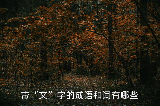 帶“文”字的成語和詞有哪些