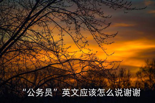 “公務(wù)員”英文應(yīng)該怎么說謝謝