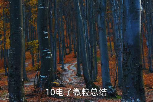 10電子微?？偨Y