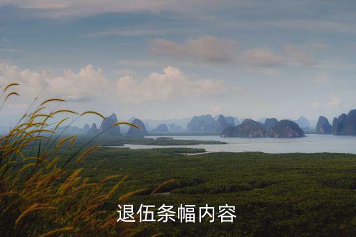 退伍條幅內(nèi)容