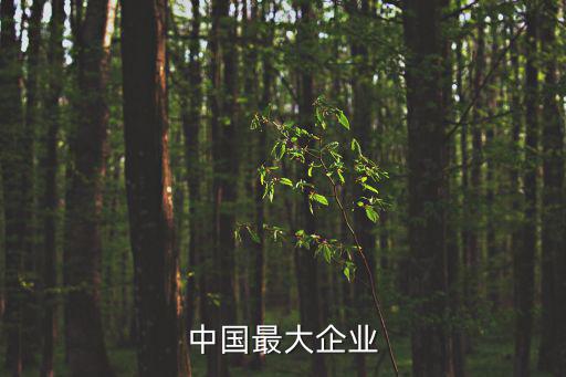 中國最大的企業(yè)，中國最大的公司是什么