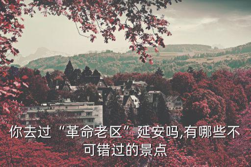 延安紅色教育,紅色教育助革命老區建設數字化網絡服務系統