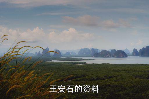 王安石的資料