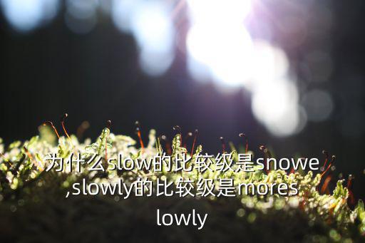 為什么slow的比較級是snowe,slowly的比較級是moreslowly