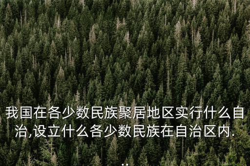 變通執行權,我國民族自治權除了語言文字使用權還有哪些權利?